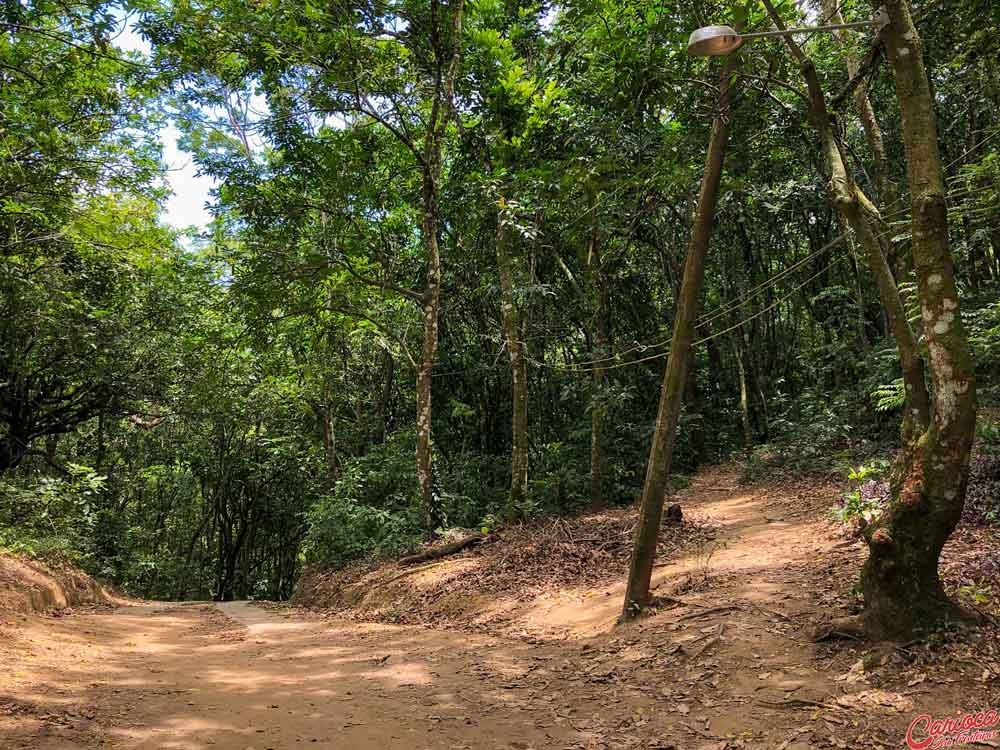 Parque Estadual da Pedra Branca