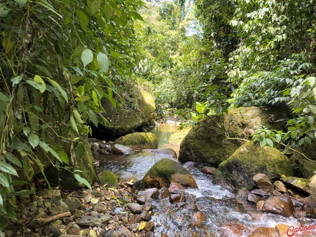 Cachoeira de Vargem Grande