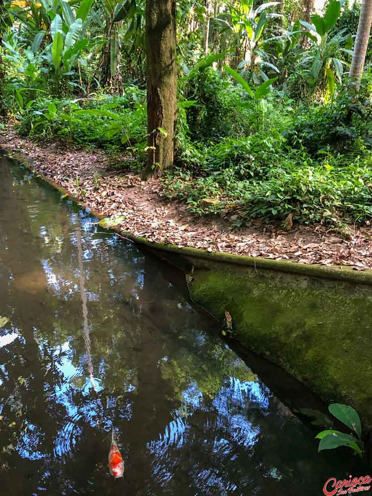 Lago no Parque Henrique Lage