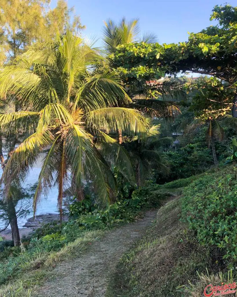 Trilha Praia da Joatinga