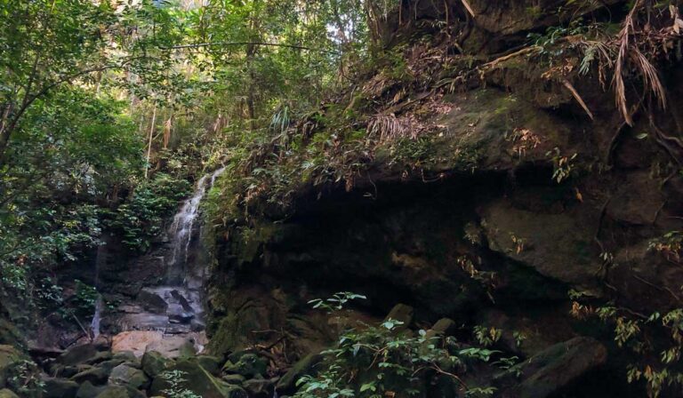 Trilha da Cachoeira das Almas na Floresta da Tijuca Cachoeira das Almas na Floresta da Tijuca
