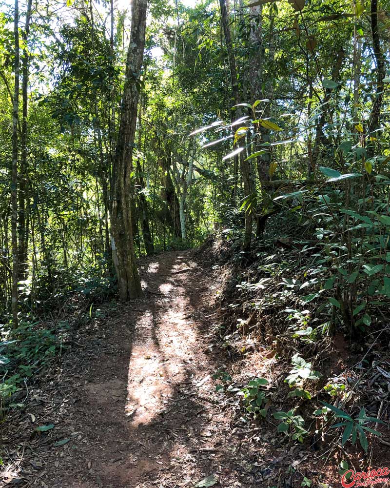 Trilha do Mirante da Cascatinha