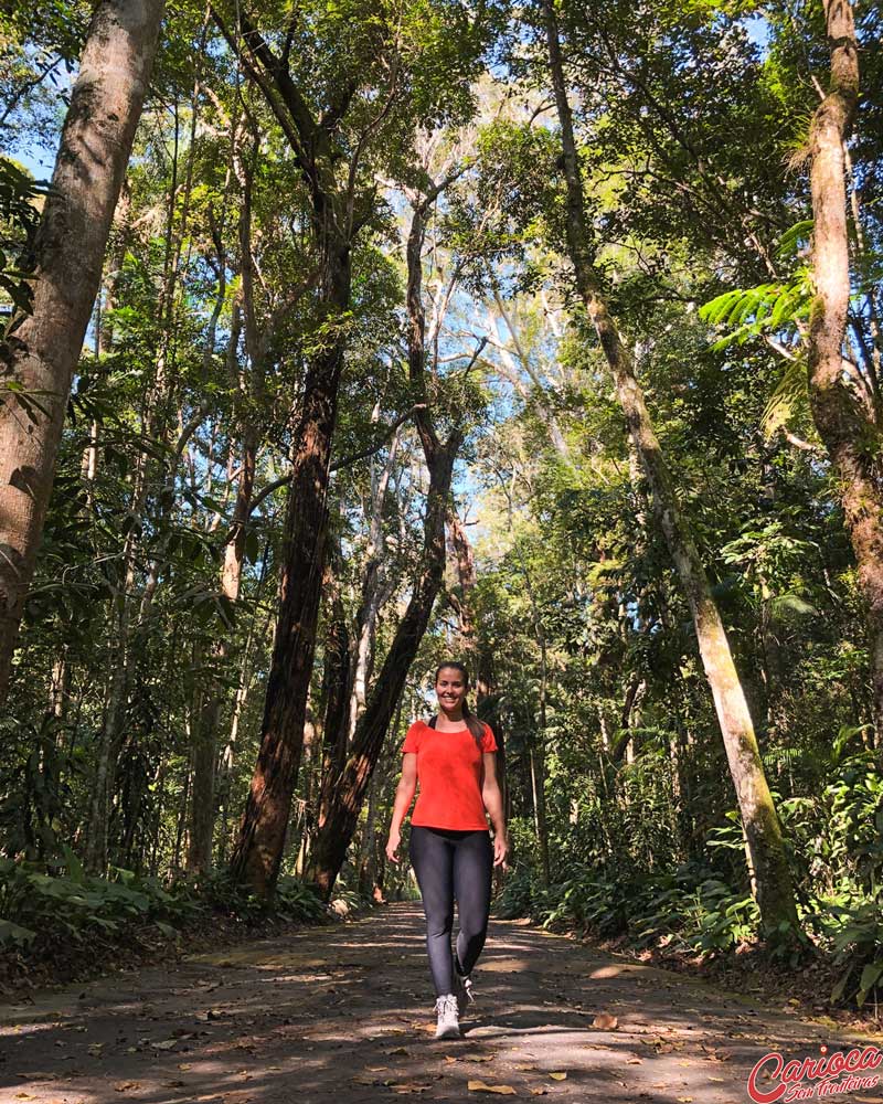 Estrada no Parque Nacional da Tijuca