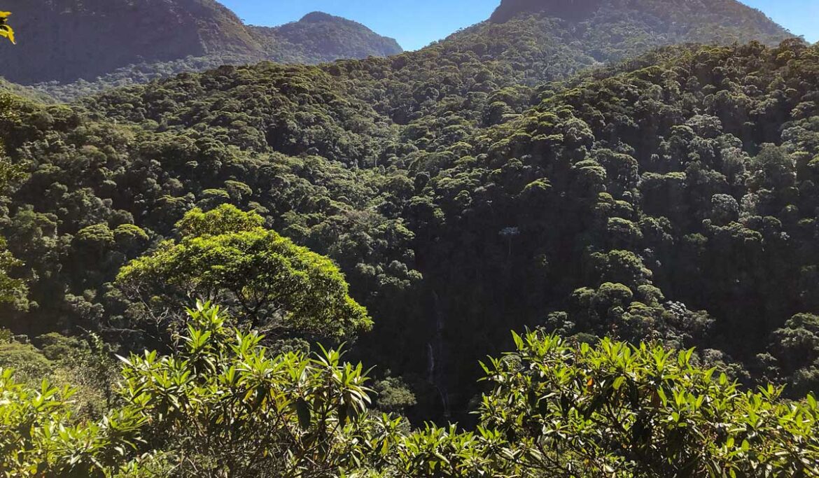 Mirante da Cascatinha na Floresta da Tijuca