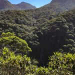 Mirante da Cascatinha na Floresta da Tijuca