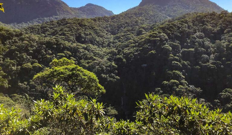 Mirante da Cascatinha na Floresta da Tijuca