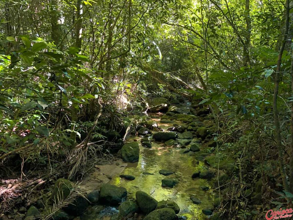 Riacho das Almas Parque Nacional da Tijuca