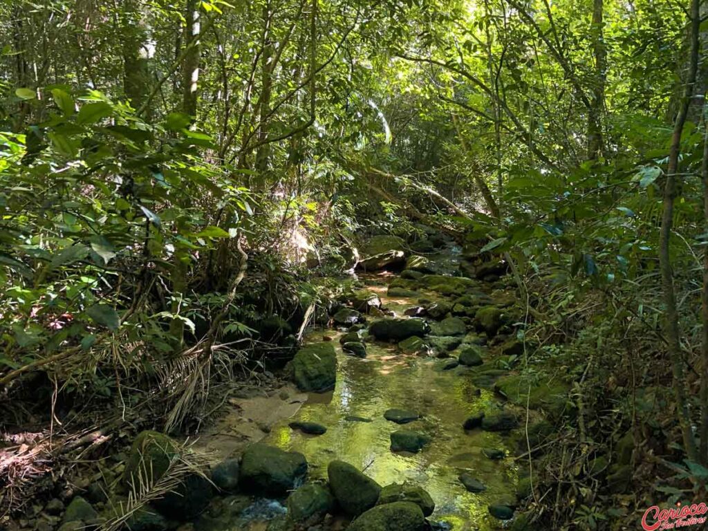 Riacho das Almas Parque Nacional da Tijuca