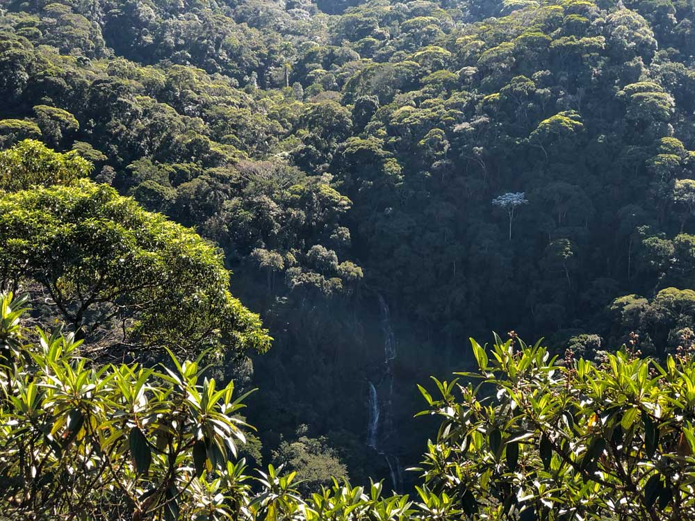 Vista do Mirante da Cascatinha no Parque Nacional da Tijuca