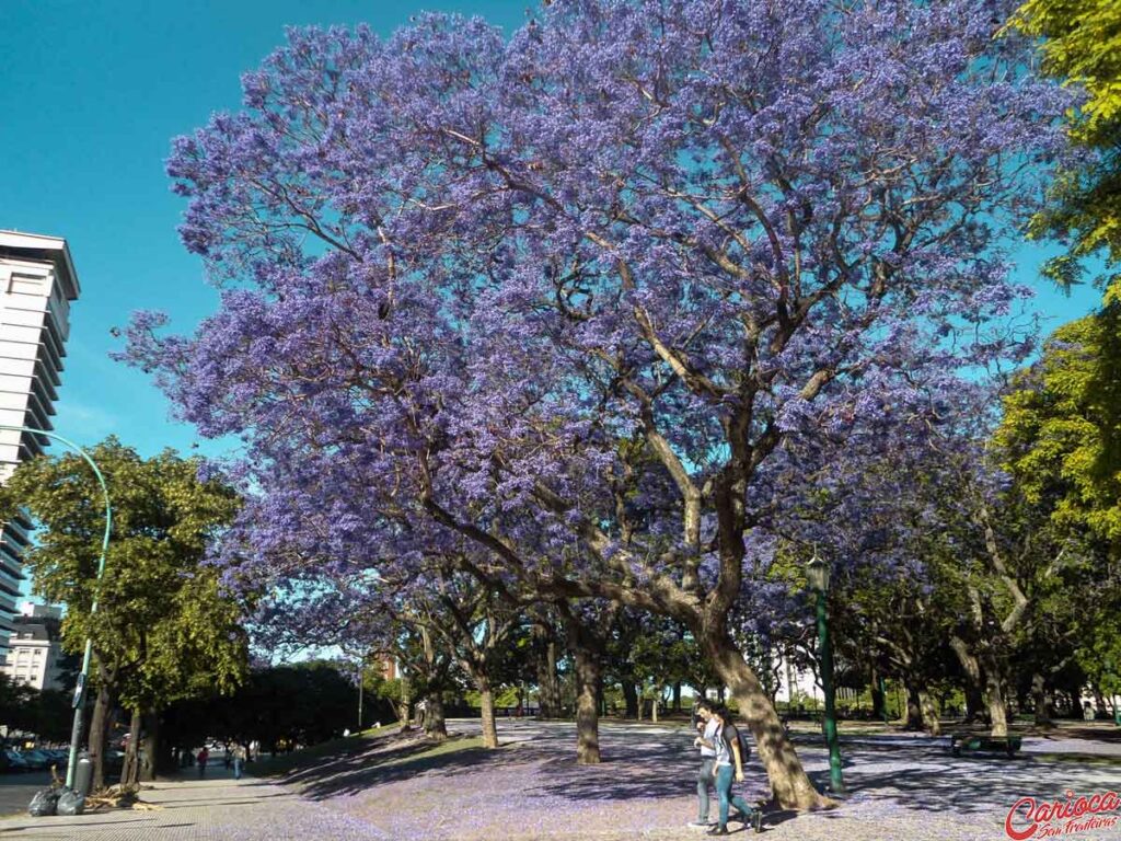 Viagem para Buenos Aires na primavera