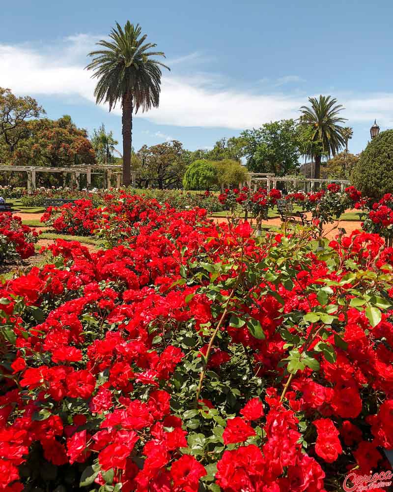 El Rosedal em Buenos Aires