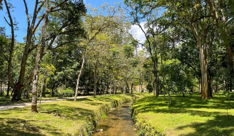 Jardim Botânico Rio de Janeiro