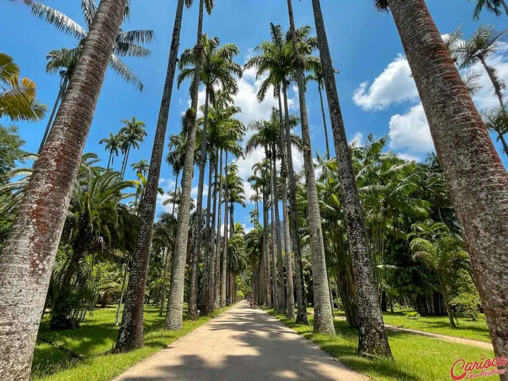 Jardim Botânico Rio de Janeiro