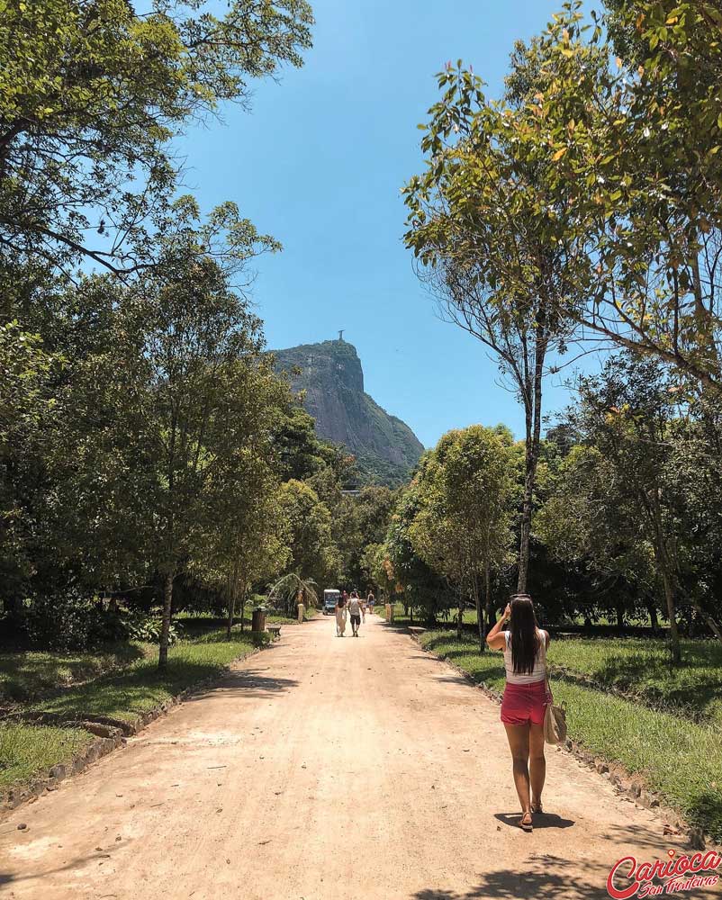 Parque Jardim Botânico RJ