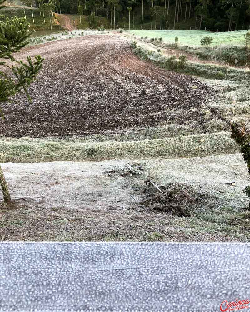 Geada na Serra Catarinense