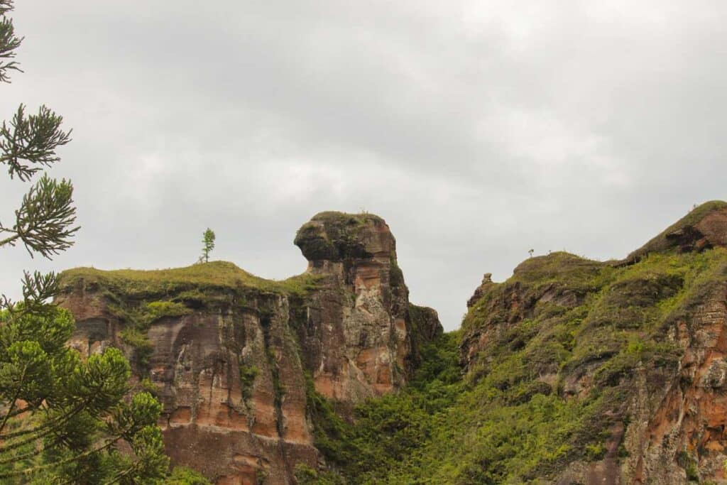 Pedra da Águia Urubici