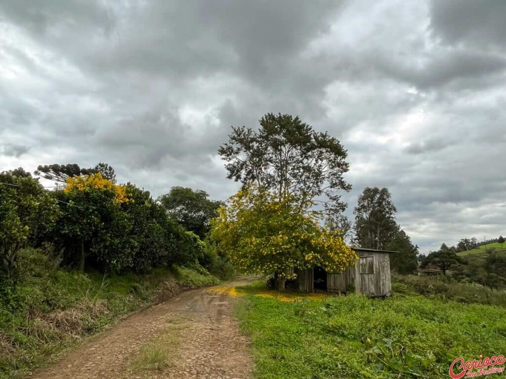 Área rural em Alfredo Wagner