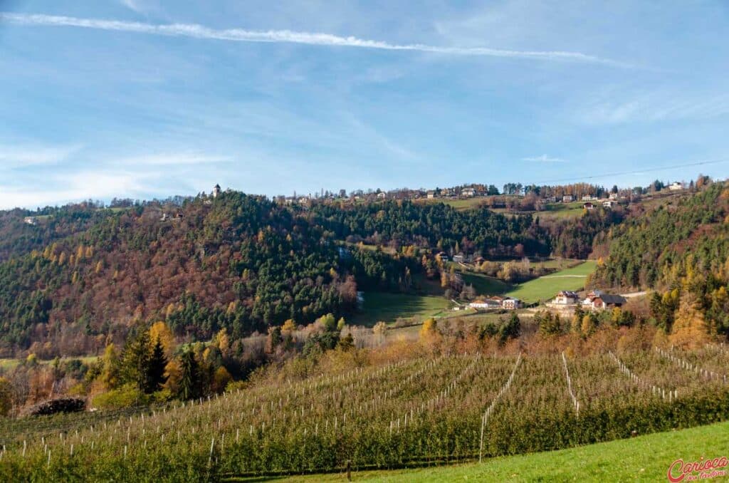 Vinícolas nas encostas de Bolzano