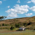 Vinícola na Serra Catarinense
