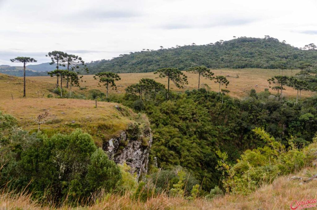 serra catarinense