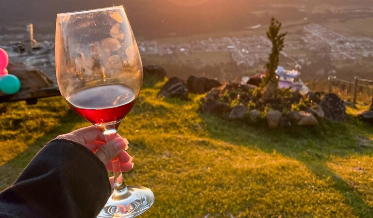 Vinho em Urubici