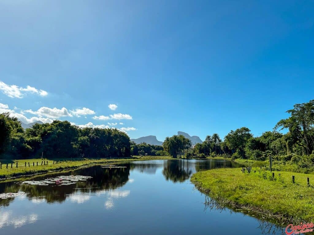 Bosque da Barra, dica do que fazer na Barra da Tijuca