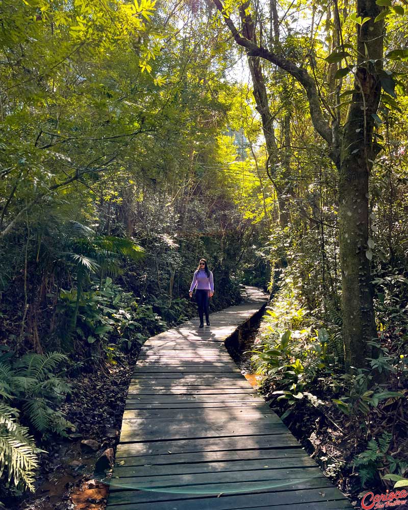 Bosque Zaninelli