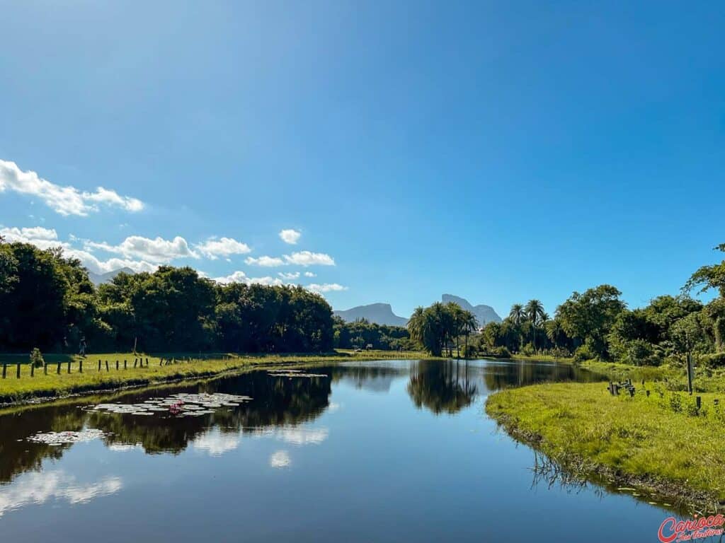 Lago no Bosque da Barra