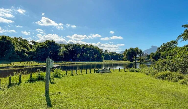 Bosque da Barra