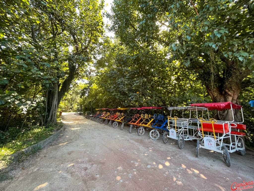 Parque no Rio de Janeiro