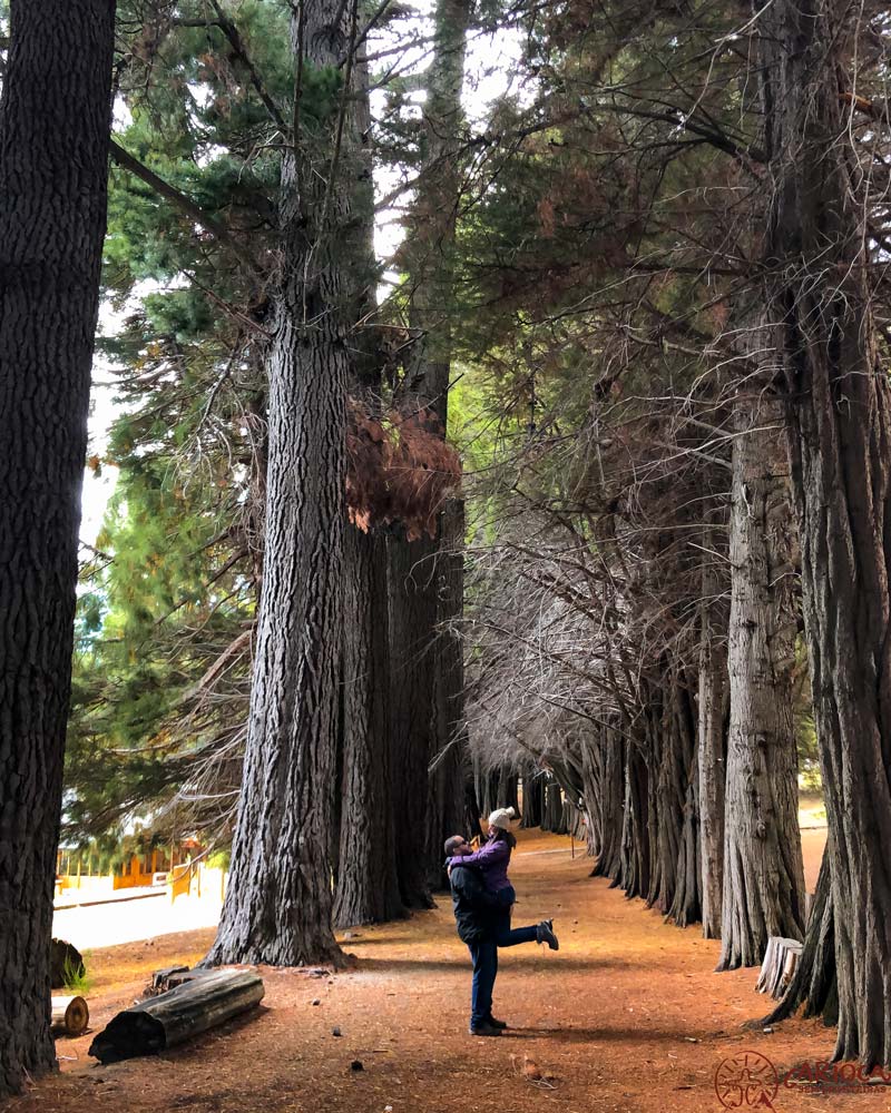 Bosque das Sequoias na Isla Victoria em Bariloche