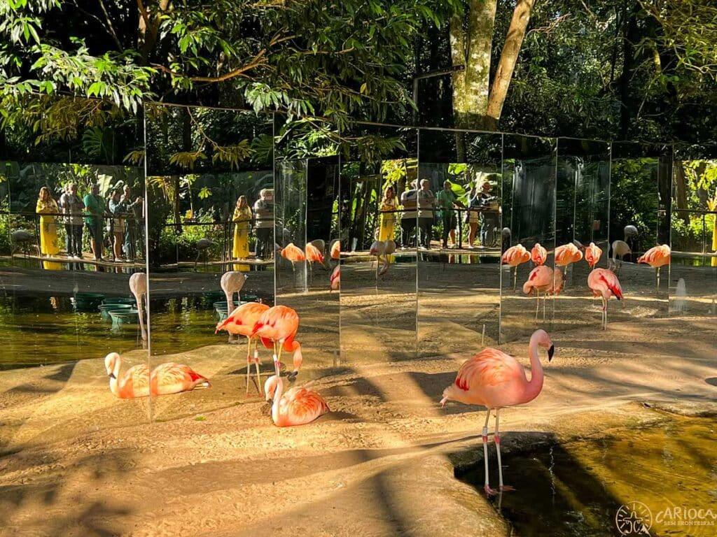 Flamingos no Parque das Aves em Foz do Iguaçu