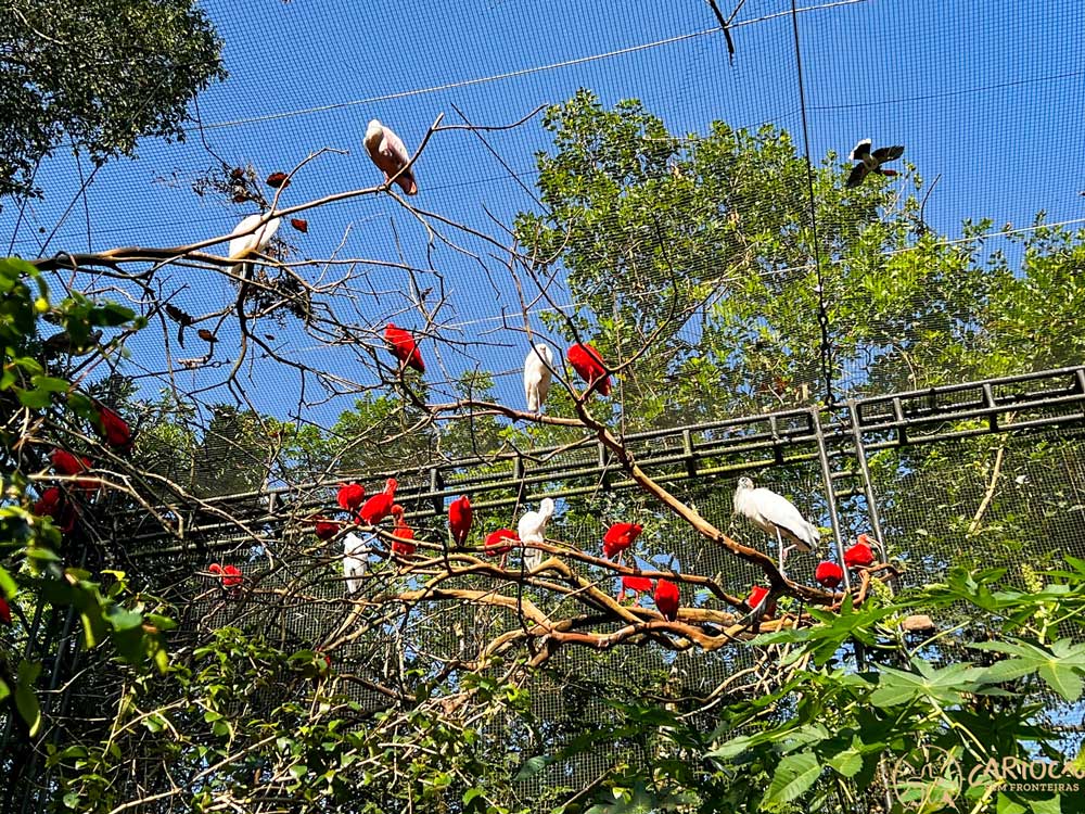 Parque das Aves